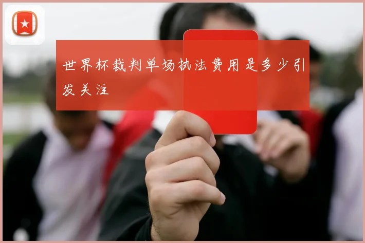 世界杯裁判单场执法费用是多少引发关注