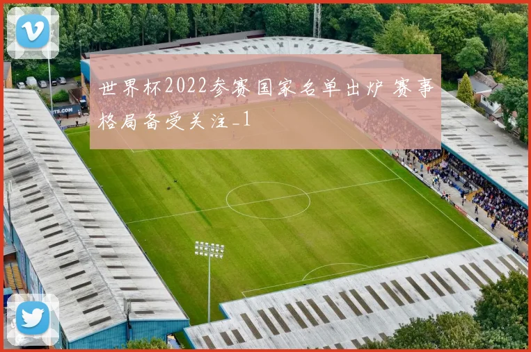 世界杯2022参赛国家名单出炉 赛事格局备受关注_1
