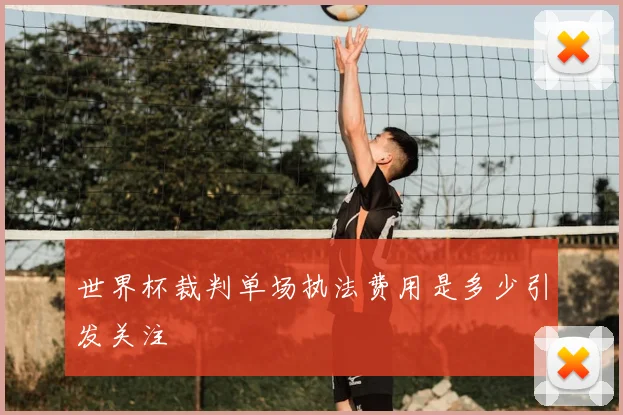 世界杯裁判单场执法费用是多少引发关注