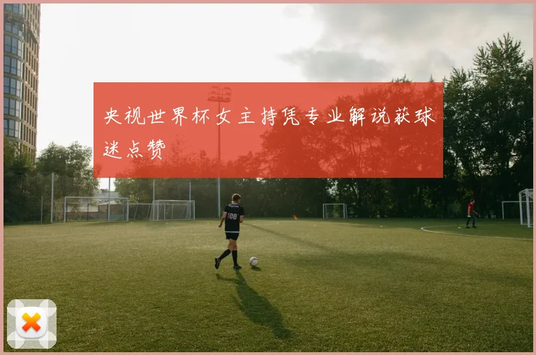 央视世界杯女主持凭专业解说获球迷点赞