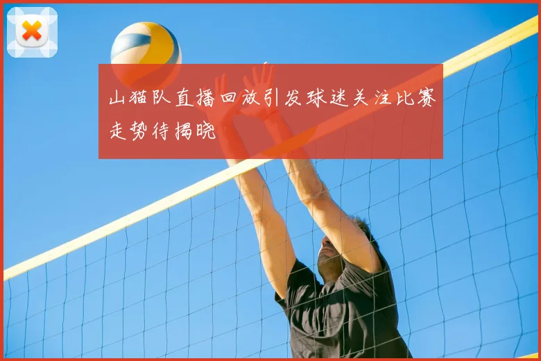 山猫队直播回放引发球迷关注比赛走势待揭晓