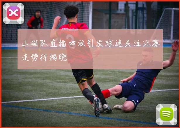山猫队直播回放引发球迷关注比赛走势待揭晓